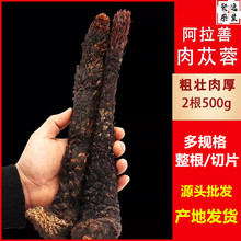 内蒙阿拉善肉苁蓉整根泡酒沙漠人参中药材正品油性软苁蓉正品批发