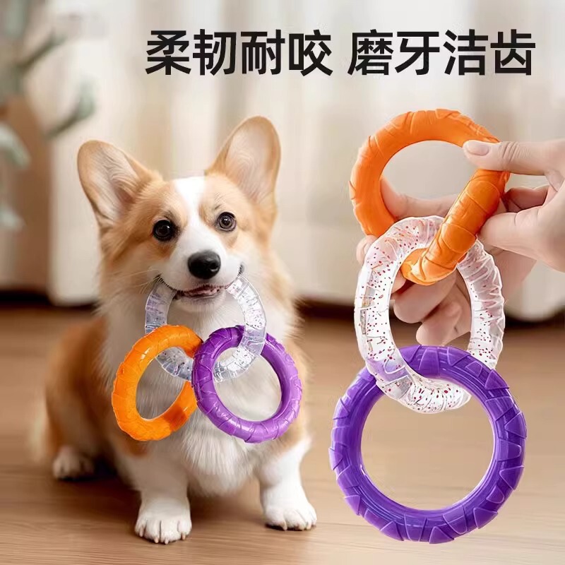 犬の抜河玩具子犬の歯ぎしり|undefined