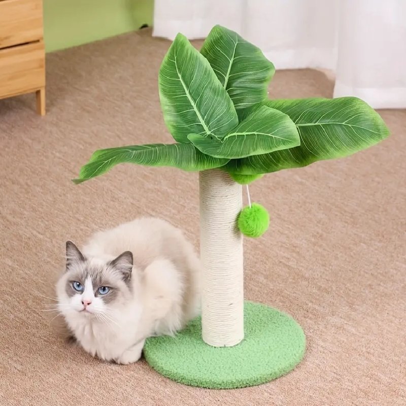 흰마줄잡이 38cm