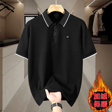 �ﶬ��a����polo���мӽq�Ӻ����e���IT�����������̄ն������b