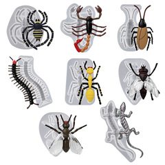 DIY Crystal Resin Insect Mold Lizard Ant Spider Scorpion Centipede Cockroach Flying Ant Fly Silicone Mold