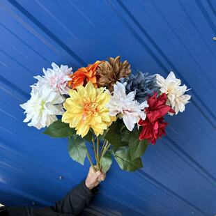 ��֧����������Ҿ��b[���������Ĕz�����̳�����쾰�ٻ�