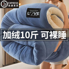 冬用羊毛毛布、厚手タイプ、保温性のあるフリース毛布、秋冬用ミルクベルベット綿毛布、学生寮用毛布芯