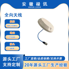 698-2700MHz 低 PIM -153dBc 全向天线-50w-N 母型-用于DAS