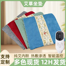 艾草坐墊電加熱艾灸坐墊家用熱敷艾絨坐墊多功能養生理療艾灸坐墊