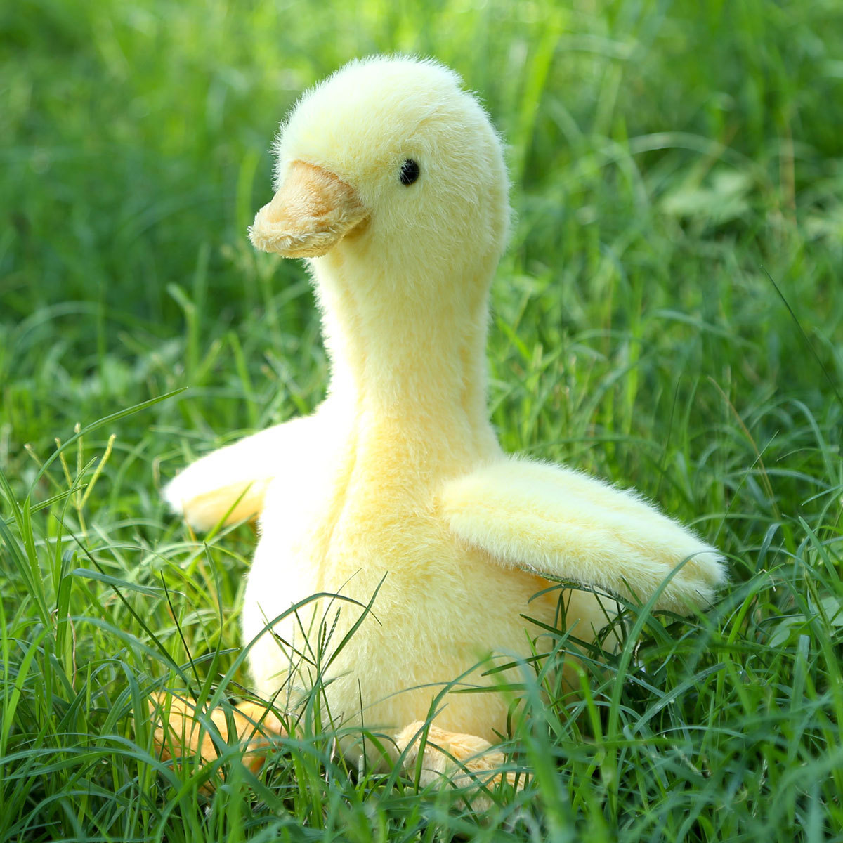 详情-炸毛小黄鸭 (1).jpg