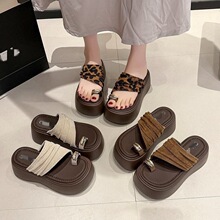���޺��������ֺ���֛���ЬŮ�ļ��⴩2026���¿����m�ٴ����Ь