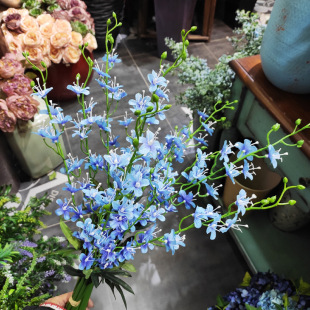 ҹ z9^ҹ滨  滨ƿb[ŷ滨