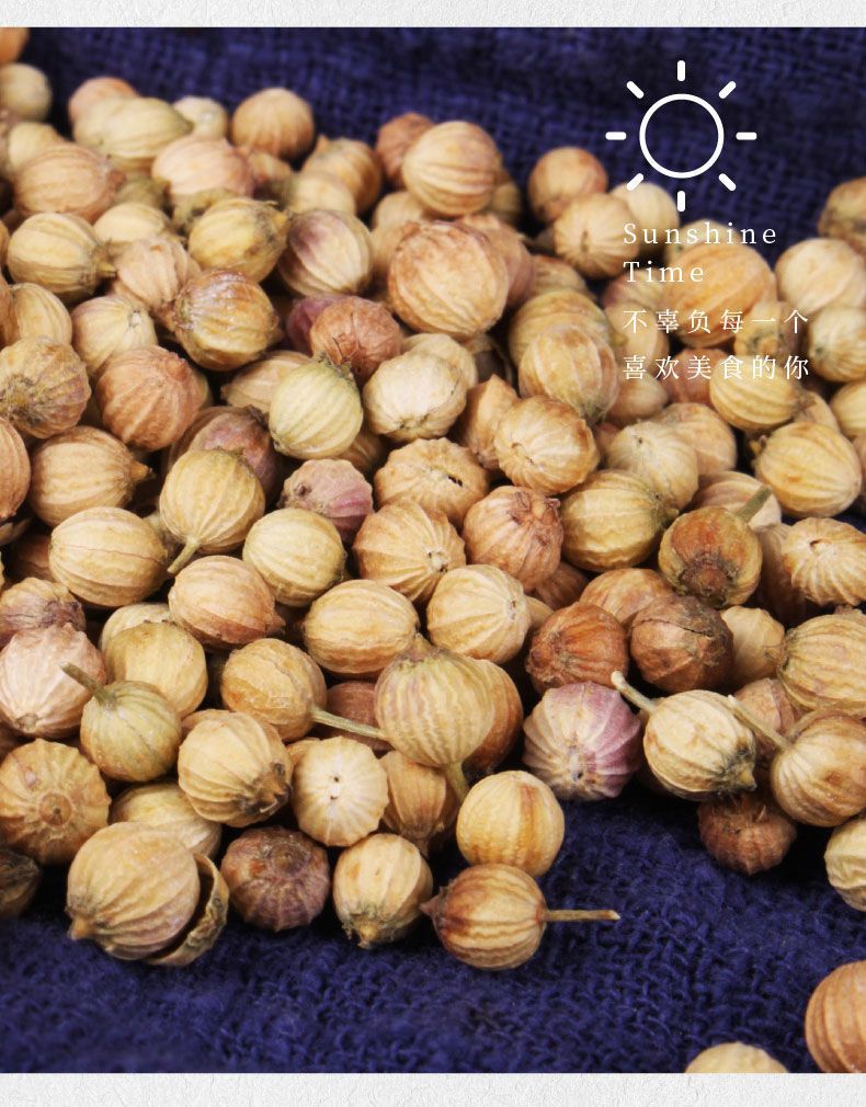 Coriander Seed 500g Yan Sui Zi Whole Dried Culinary Spice for BBQ Hotpot Soup and Herbal Use in use