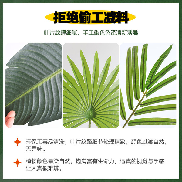 Factory direct selling green planting potted traveler's banana…