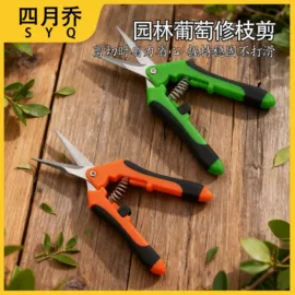 纸巾架;家用剪刀;厨用剪刀