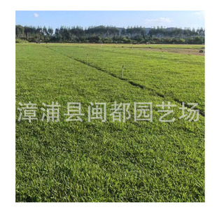 �V�|���ش��~�Ͳ݃��|��Ƥ���l �@�־G����ƺ �ͺ��ͺ��F؛ֱ�N