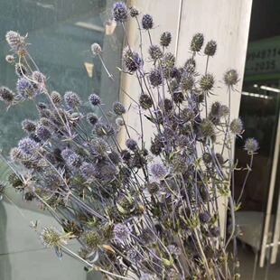 �����˹��ɻ���С���� �lؔ�� ���ﻨ ԭɫ ���� �������l