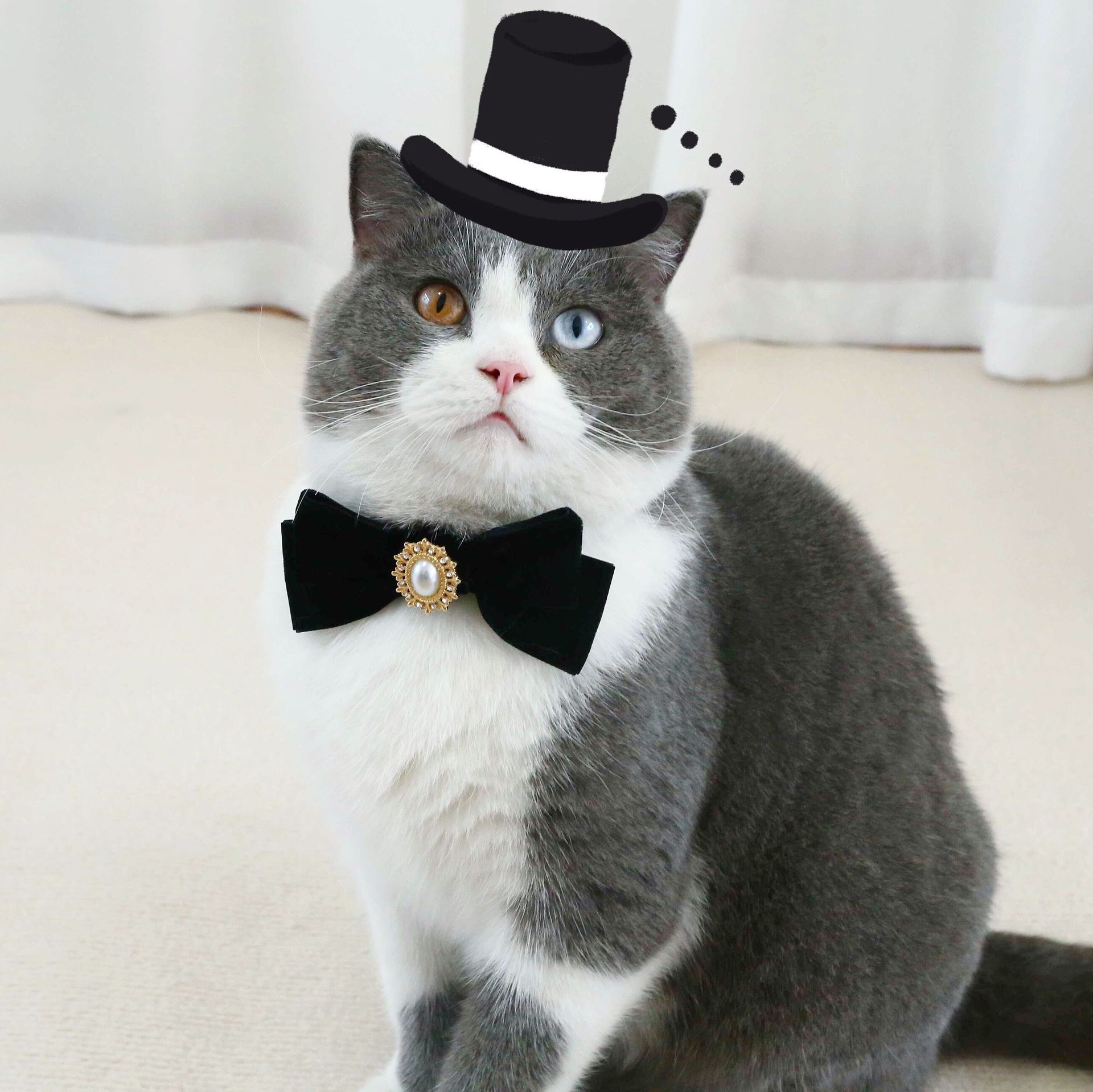 Perros de mascotas muñecas gatos seda arco perlas taladro retro anti-asfixia collar corbata accesorios de fiesta cumpleaños