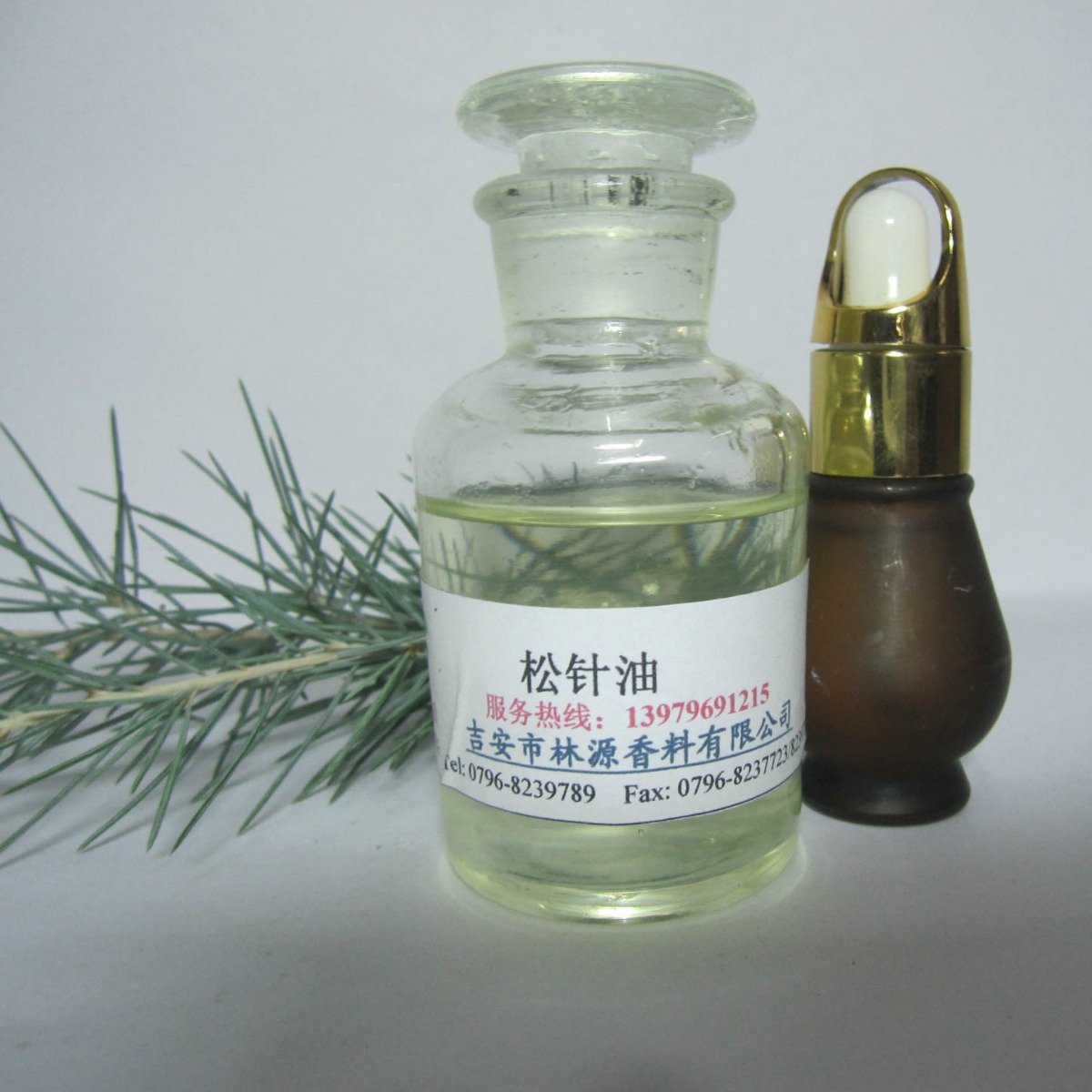 ������ �ɿ�ֲ����Ҷ   �ɰ��� ��ɼ�� ��ӭ����