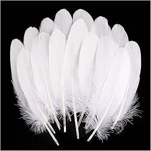 Fabricantes lotes plumas de ganso blanco natural plumas DIY artesanías accesorios de ropa de boda accesorios de decoración artesanal image 6