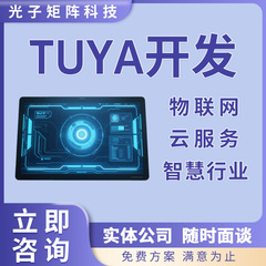 Tuya 開発 IoT クラウド プラットフォーム クラウド サービス インテリジェント インダストリー スマート ホーム APP アプリケーション ソフトウェア開発