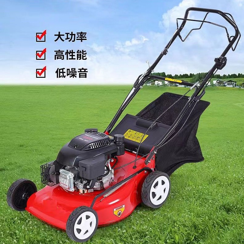 山东工厂现货公园草坪剪草机 全新汽油割草机 手推自行走修草机