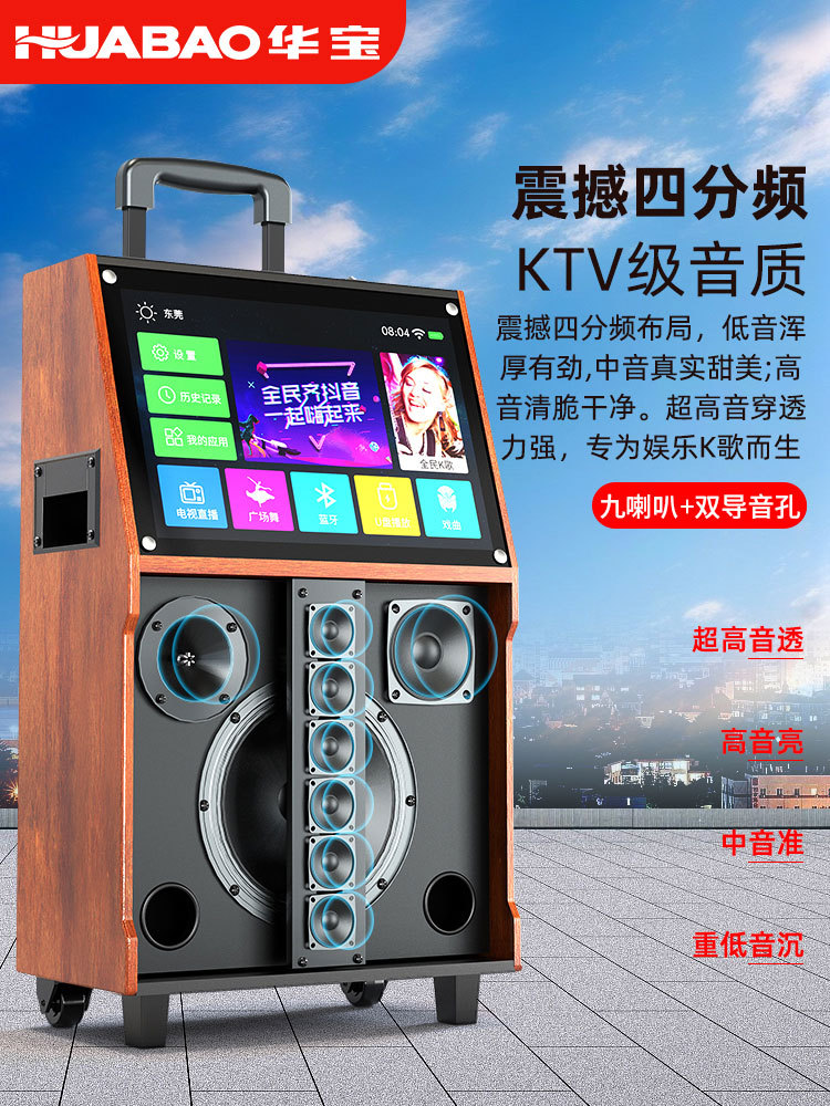 Free Shipping Square Dance Audio with Display Screen Karaoke Microphone All-In-One Outdoor Dance Video Bluetooth Speaker Microphone