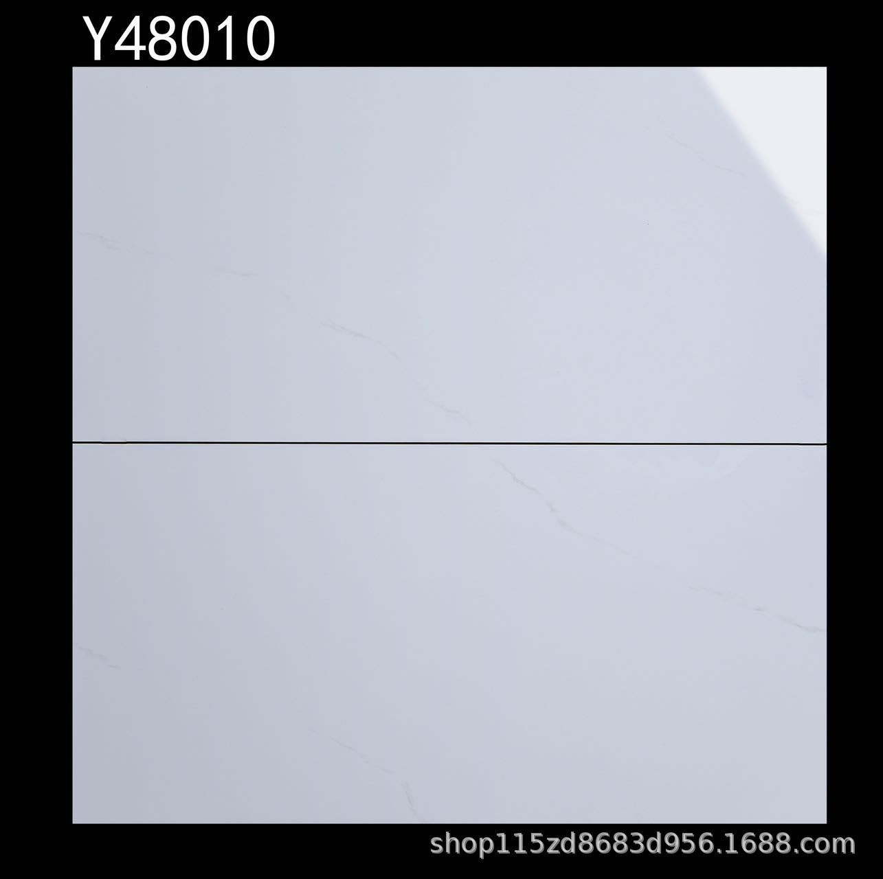 Y48010