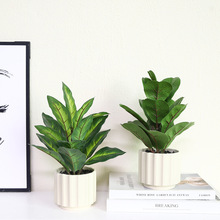 跨境高端仿真花盆栽陶瓷摆件ins风卧室装饰假花常青叶绿植装饰品