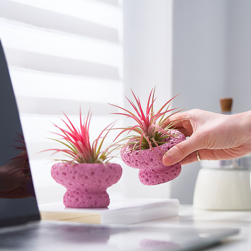 1a559434-a90f-4c22-8e74-66ee4579a32f.jpe