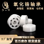 开式源头系列陶瓷轴承