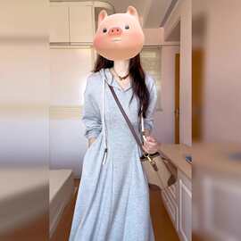 小个子灰色连帽长袖连衣裙女深秋初冬季2024新款韩系穿搭卫衣长裙
