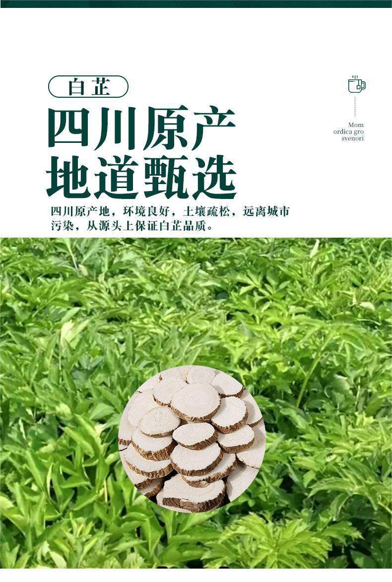 Dried Angelica Dahurica Slices Bai Zhi 500g Bulk Chinese Herb for Cooking and Decoction key features