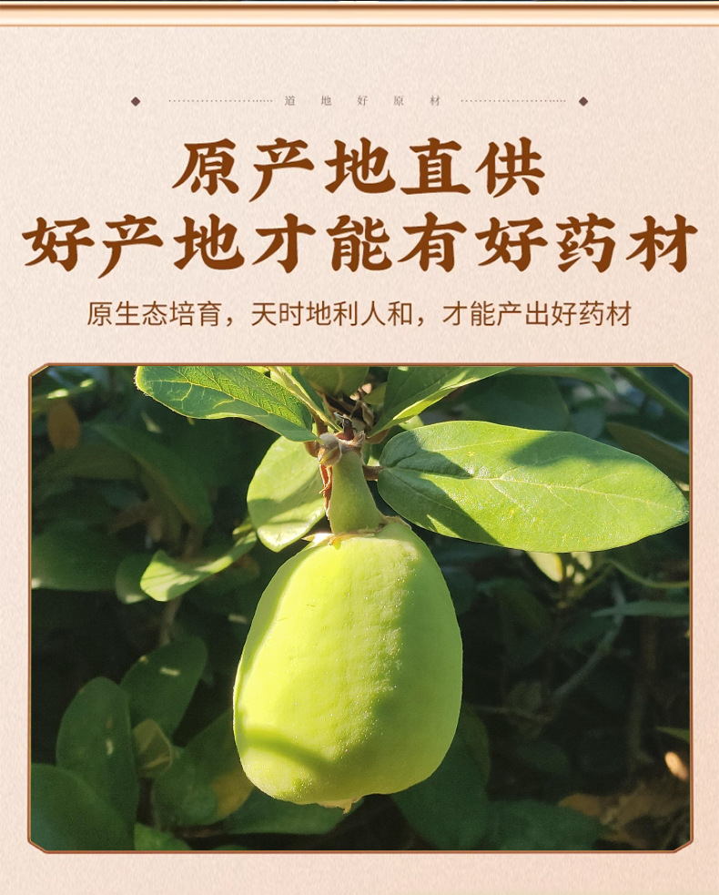 Mu Li Tou Dried Mulberry Fig Whole Fruit 500g Traditional Chinese Herbal Ingredient for Decoction and Culinary Use key features