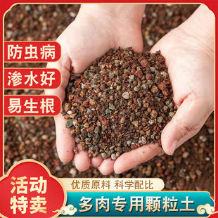Succulent Soil, Peat Soil, Succulent Soil, Leaf Insert Soil, Special Soil for Succulents, Succulent Granular Soil, Free Shipping