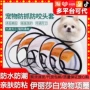伊丽莎白术后宠物狗狗防咬圈