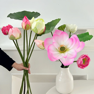 ����ɻ�ɏ�~��ʽ�ٻ��[���Ҿӿ͏d�廨�bh���Ĕz���ߏS�����l