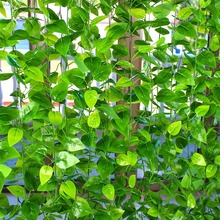 �����ٗl�G�}�~�b٘��~�������ϵ�픻���ˮ�ܵ��ړ����{�G�~��