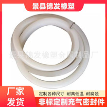 电厂阀门插入式充气密封圈阀硅胶充气密封圈 充气密封件 充气囊