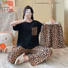 �羳i�|�ρ�˯��Ů���y����W�t�����¿ͨ����Ҿӷ�������