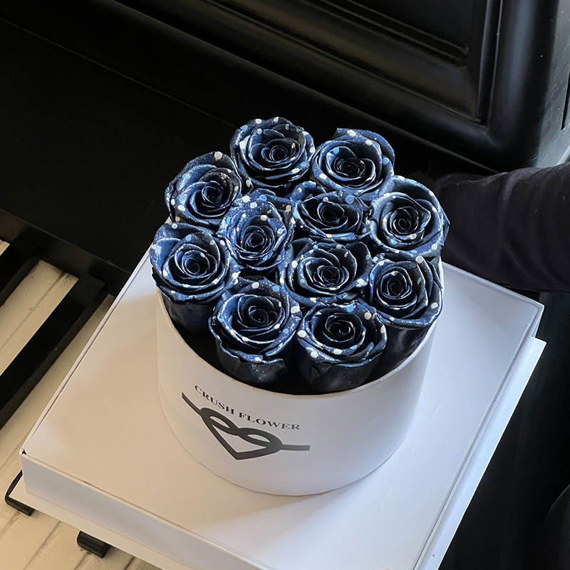 스타 다크 블루