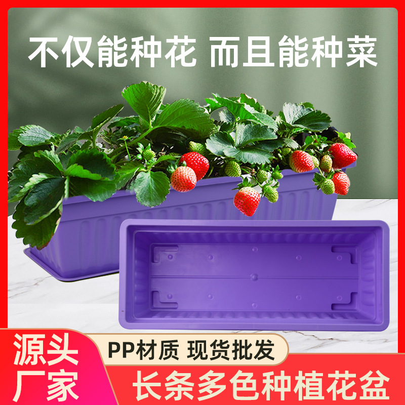 阳台种菜盆种菜神器家庭阳台蔬菜长方形塑料长条花盆槽盆栽种植盆