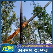 厂家供应 仿生塔 仿生树 仿生树通信铁塔 美化塔景观装饰塔