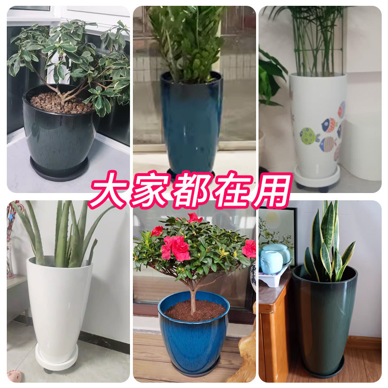 陶磁器の植木鉢のプラスチックの客間の高い樹脂の植木鉢の屋外の特大サイズの軽くて豪華な尾葵の天国の鳥の専用の鉢をまねます。|undefined