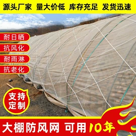 封车网;绳子类;大棚网
