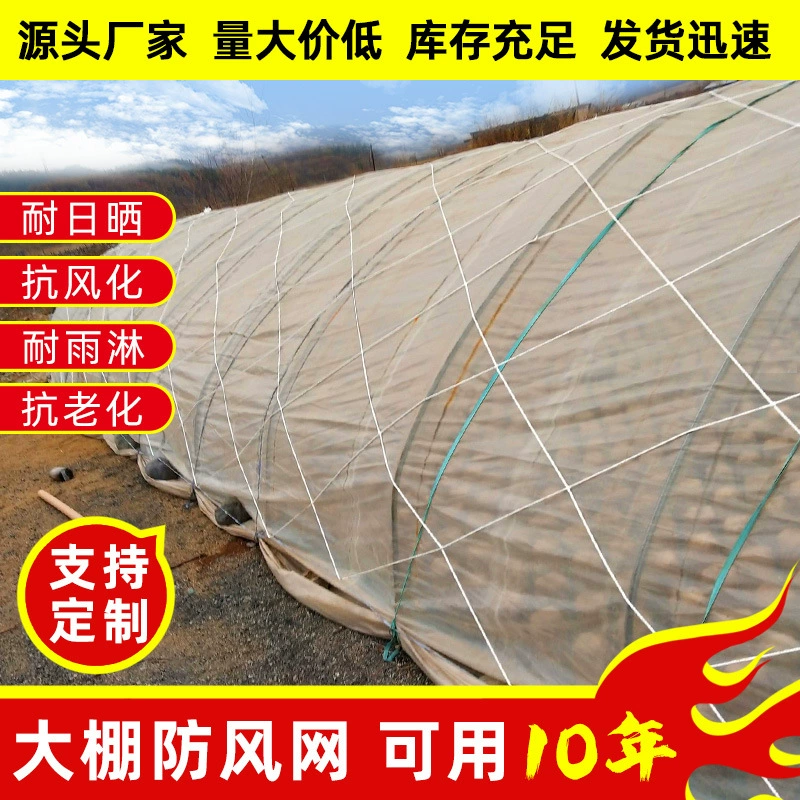 Парниковая сетка ветрозащитная Сетка Крышка для посадки грузов защитная сетка нейлоновая сетка парниковая сетка лобовое стекло пленка с большим отверстием сетка для прессования канатов