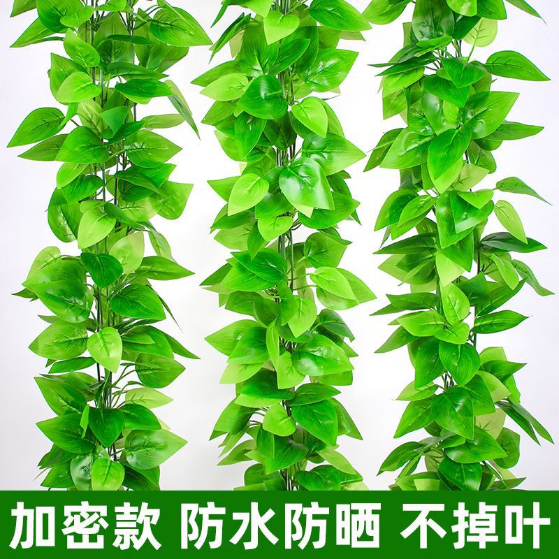 Simulation Rattan Green Rattan Leaves False Leaves Indoor Air Conditioning Water Pipe Decoration Winding Shaded Plastic Flowers Vine Green Leaves
