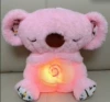 New powder-Koala 2