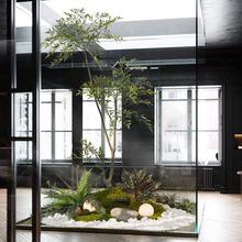 绿植橱窗造景楼梯下玄关角落景观装饰摆件花卉假植物仿生植物