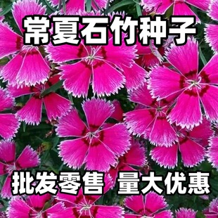 ����ʯ��N�ӚWʯ�������ʯ����Ůʯ��������ļ��ͺ�����