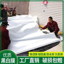 �ڰ��B�u����Ĥ�G��Ĥ���������Aʳ�þ��BֳĤ����Ĥ���]�Ӻ�����