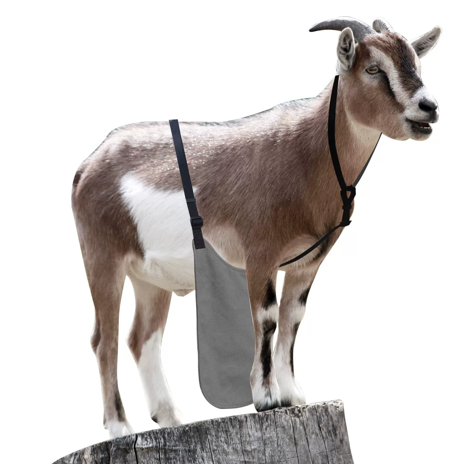 Овец против разведения Фартук против разведения