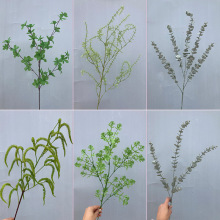 ����Gֲ�Ƶ��c�b�·���廨ɭϵ��Y�ò��ðٺ�����噻���쾰