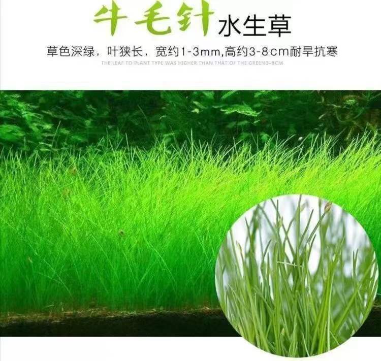 5d30ddc0-0e1c-4a2b-803c-b9ed7ff76e32.jpe